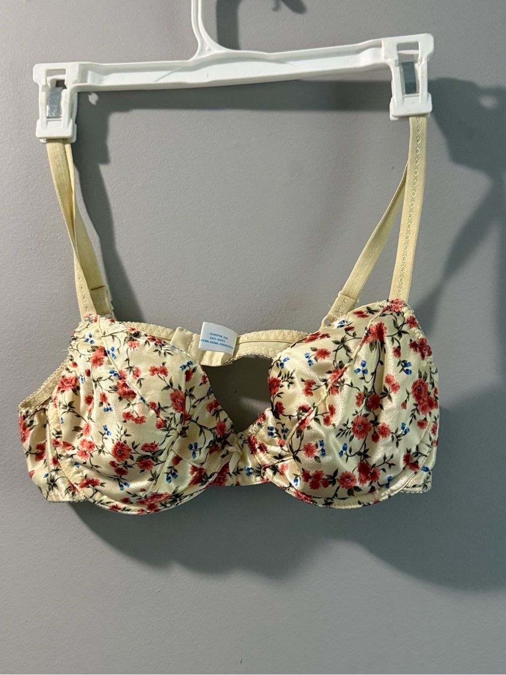 Vintage Floral Underwire Bra in Cream with Red Blossoms
